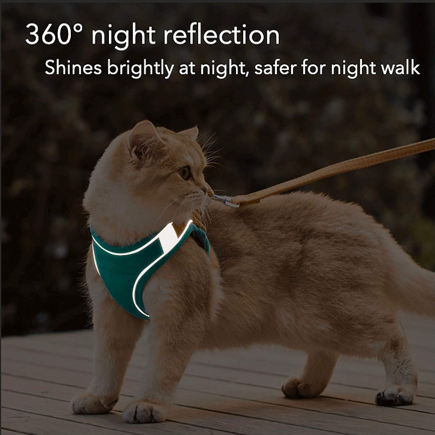 (30% de descuento) Conjunto de arnés y correa para chaleco luminoso para gatos