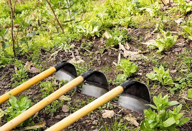 (30% de descuento) Herramienta de jardín como acero al manganeso.