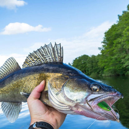 (30% Descuento)SET DE 5 CEBOS PARA PECES PEQUEÑOS